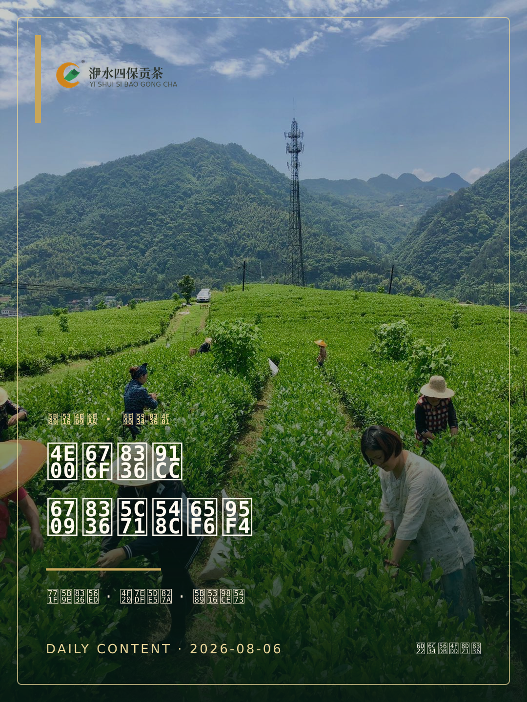 2026-08-06 一杯茶里,有茶山和时间模板海报